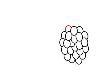 How to draw: Grape