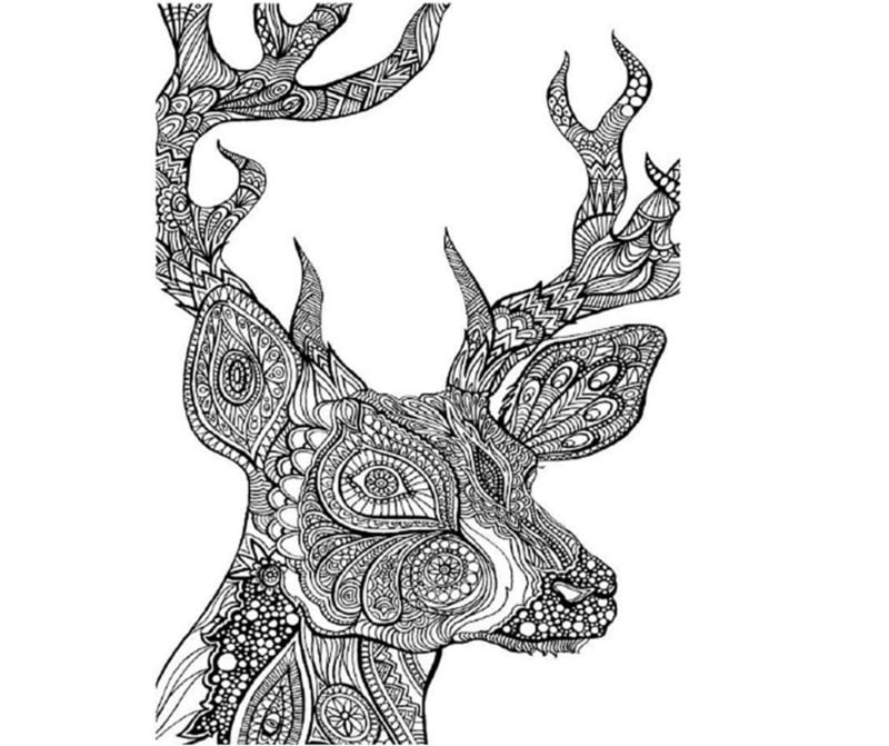 Coloring pages for adults: Deer