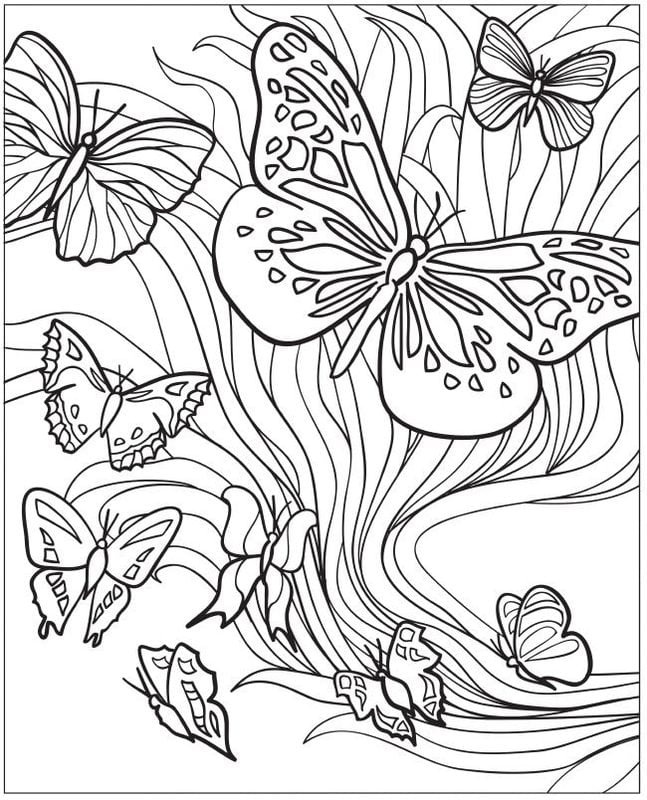Disegni da colorare per adulti: Farfalle 4