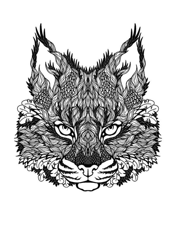 Coloring pages for adults: Cats