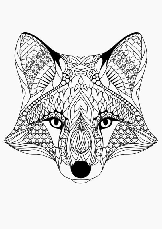 Coloring pages for adults: Fox