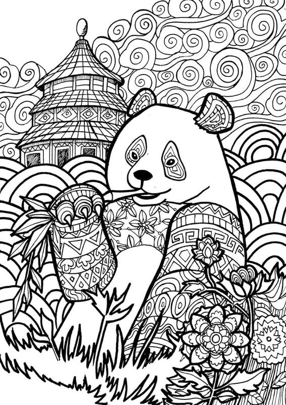 Disegni da colorare per adulti: Panda