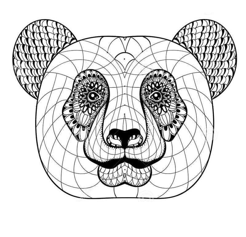 Coloring pages for adults: Panda