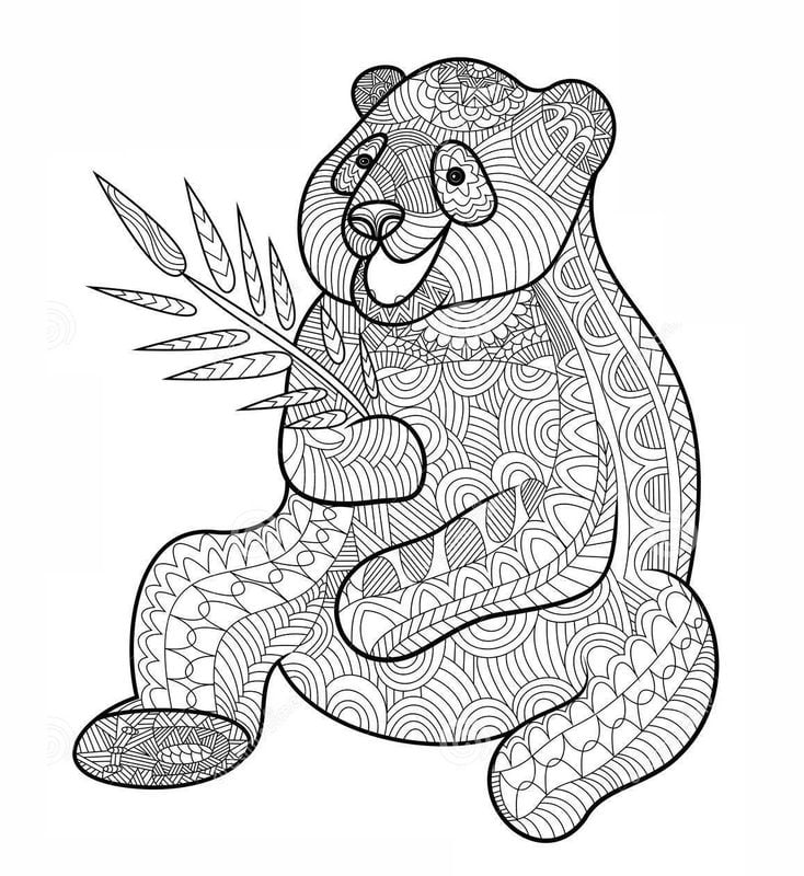 Coloring pages for adults: Panda