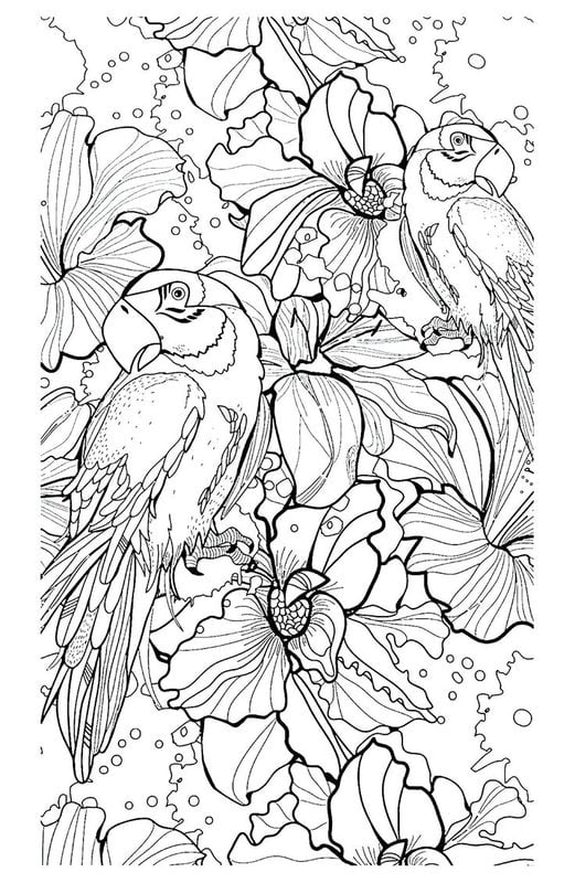Coloring pages for adults: Parrot 1