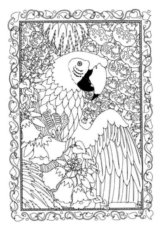 Coloring pages for adults: Parrot 3