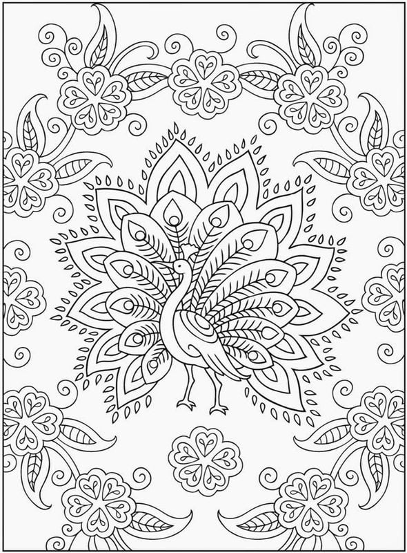 Coloring pages for adults: Peacock