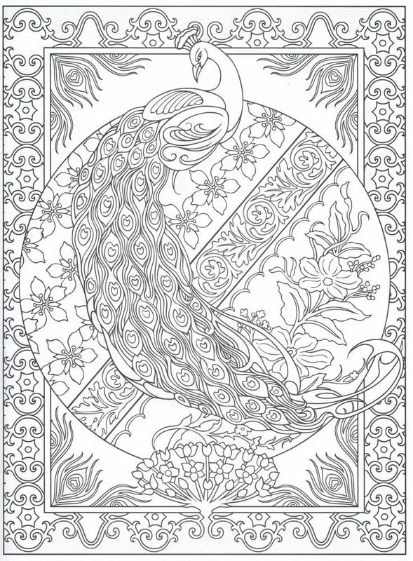 Coloring pages for adults: Peacock