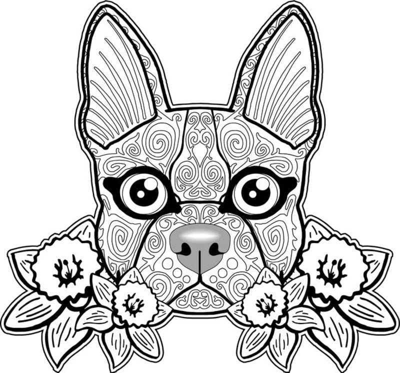 Coloring pages for adults: Dogs