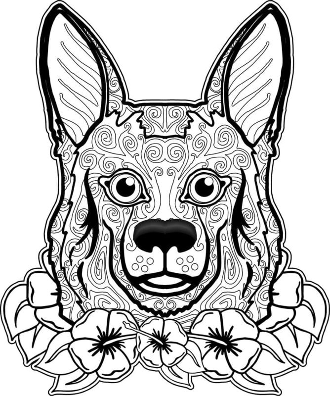 Coloring pages for adults: Dogs