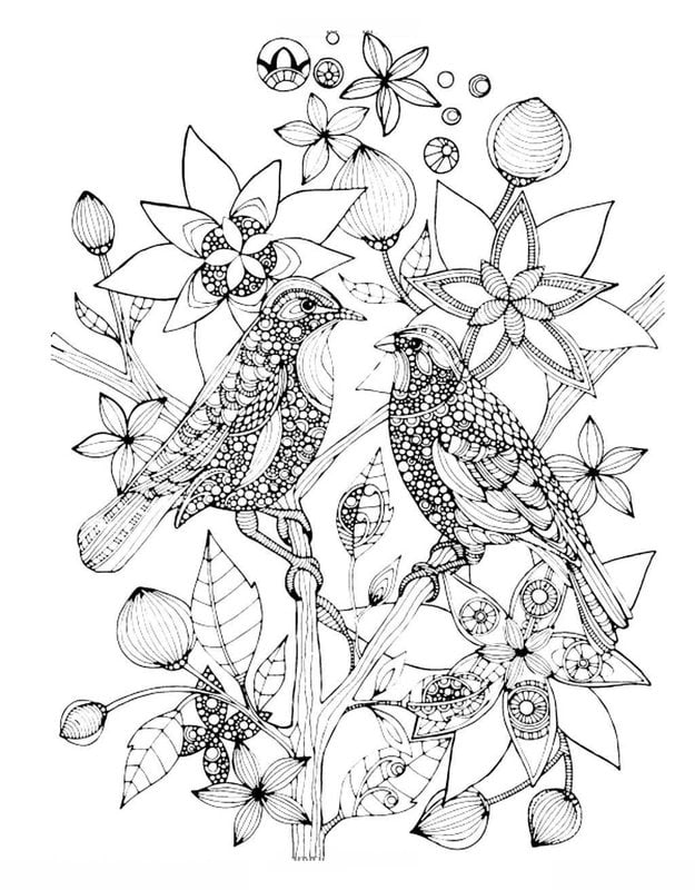 Coloring pages for adults: Birds