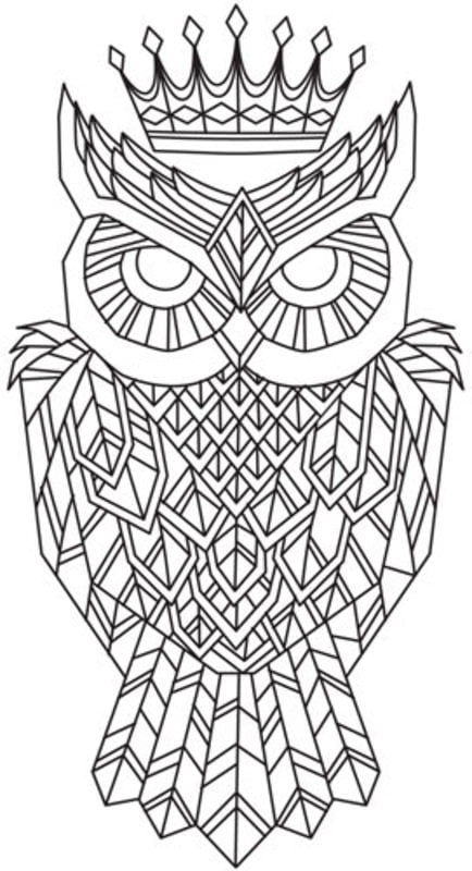 Coloring pages for adults: Owl