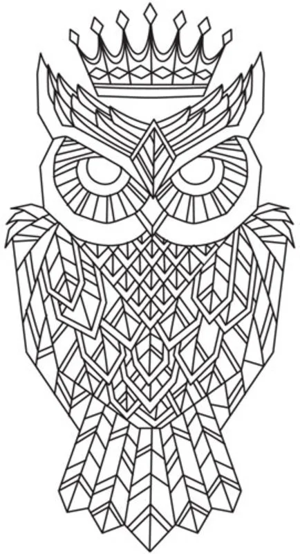 Dibujos para colorear para adultos: Strigiformes 1