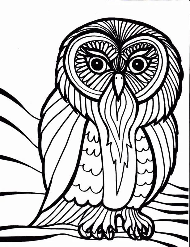 Dibujos para colorear para adultos: Strigiformes 3