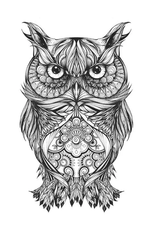 Dibujos para colorear para adultos: Strigiformes 5