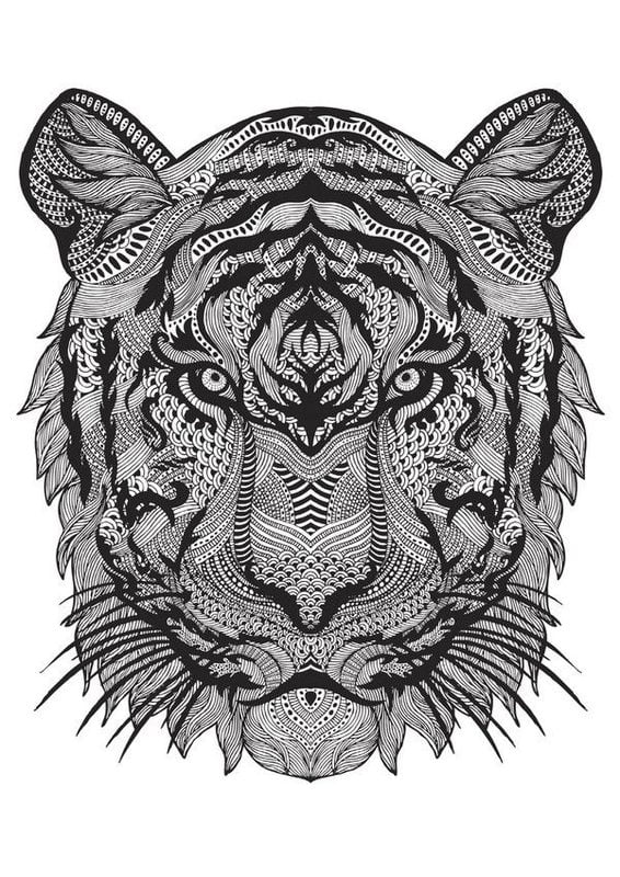 Coloring pages for adults: Tiger