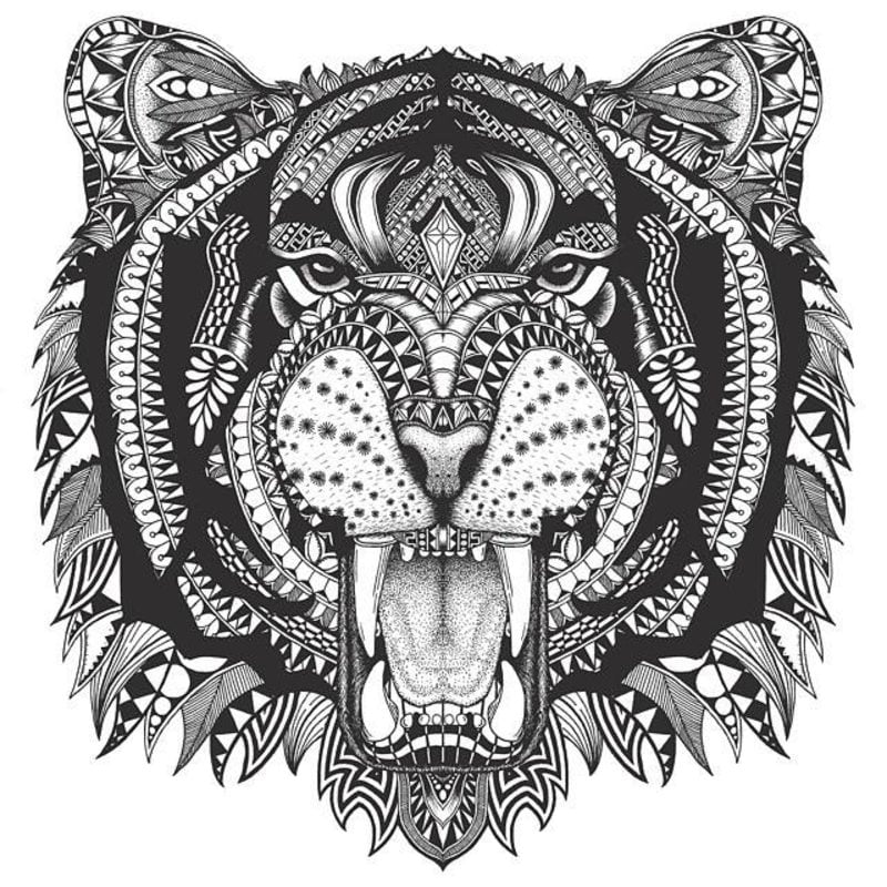 Coloring pages for adults: Tiger, printable, free to download, JPG, PDF