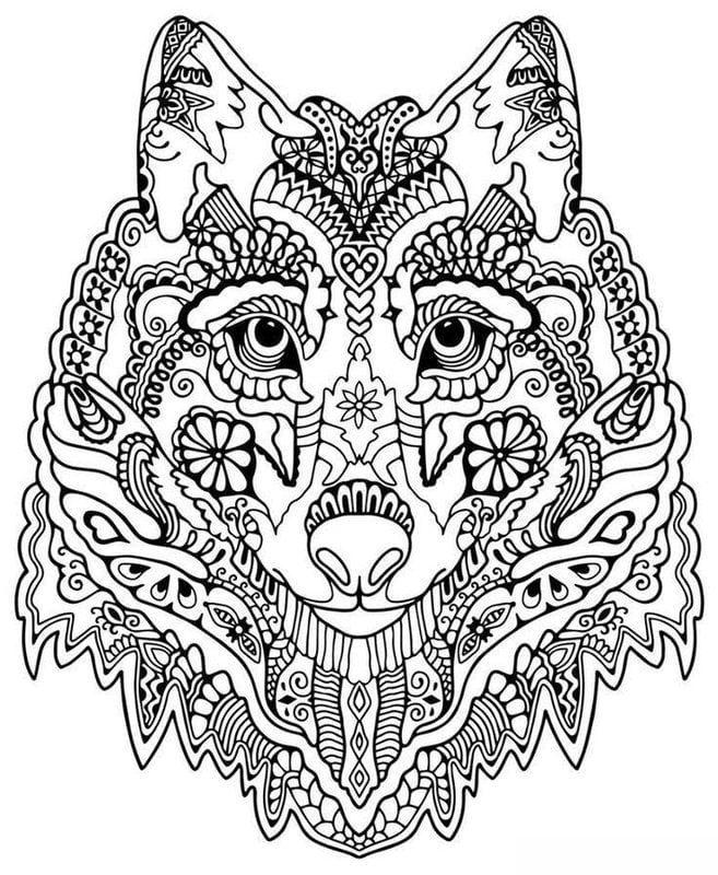 Coloring pages for adults: Wolf