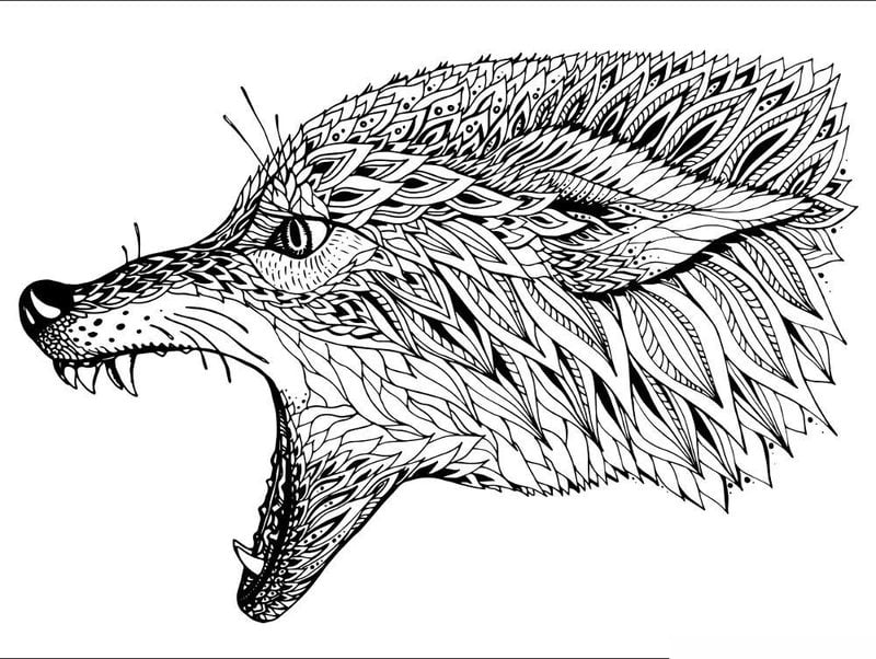 Coloring pages for adults: Wolf