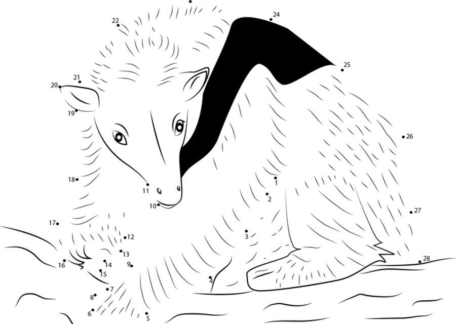 Connect the dots: Anteater