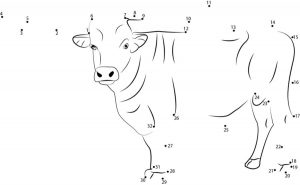 Connect the dots: Bull, printable for kids &amp; adults, free