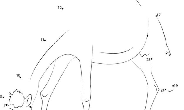 Connect the dots: Camel