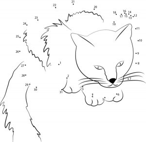 Connect the dots: Cat, printable for kids & adults, free