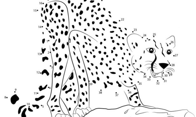 Connect the dots: Cheetah