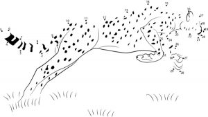 Connect the dots: Cheetah, printable for kids &amp; adults, free