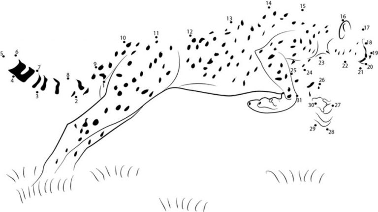 Point à point: Relier les points: Guépard imprimable, gratuit, pour les