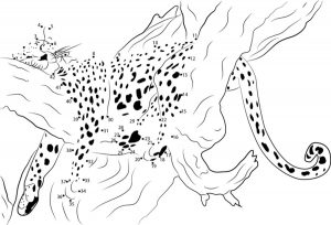 Connect the dots: Cheetah, printable for kids &amp; adults, free