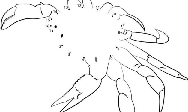 Unisci i puntini: Brachyura