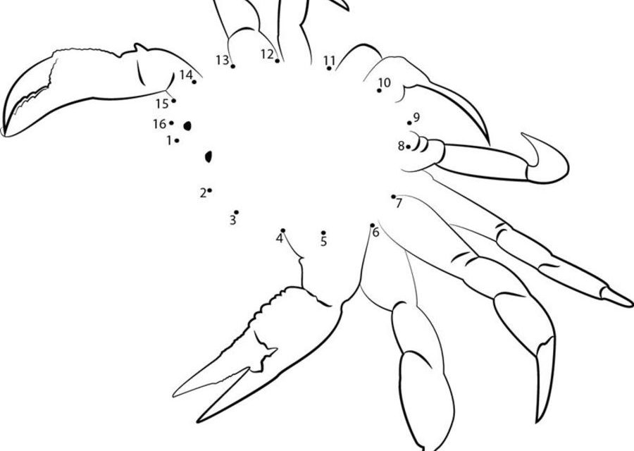 Connect the dots: Crab