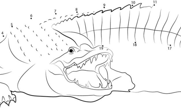 Punkt zu Punkt: Krokodile