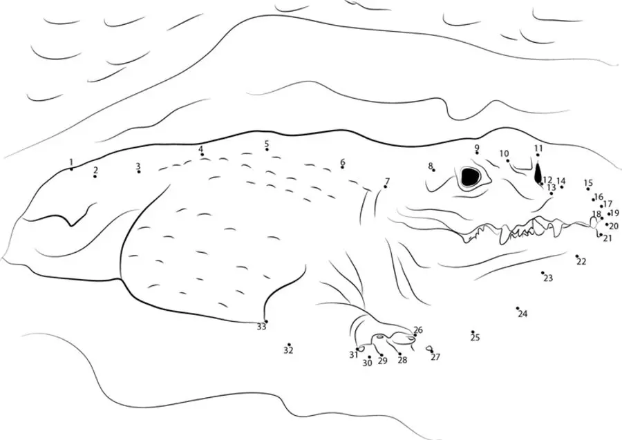 Unir puntos: Cocodrilos 2