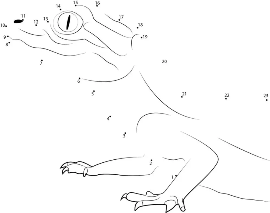 Unir puntos: Cocodrilos 3