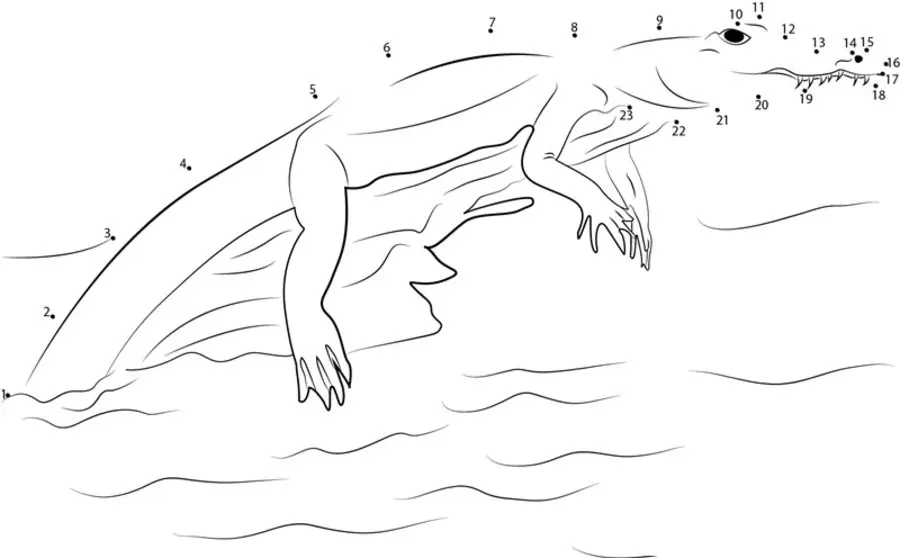 Unir puntos: Cocodrilos 5