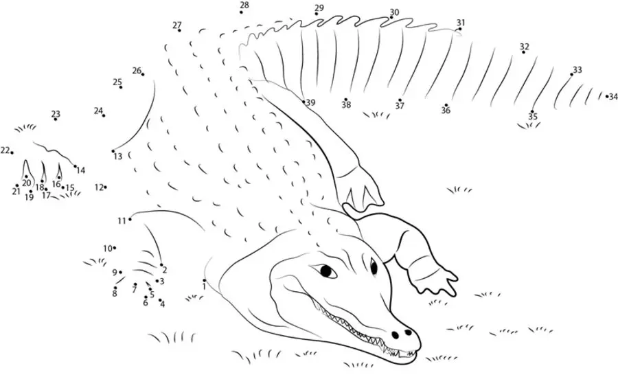 Unir puntos: Cocodrilos 6