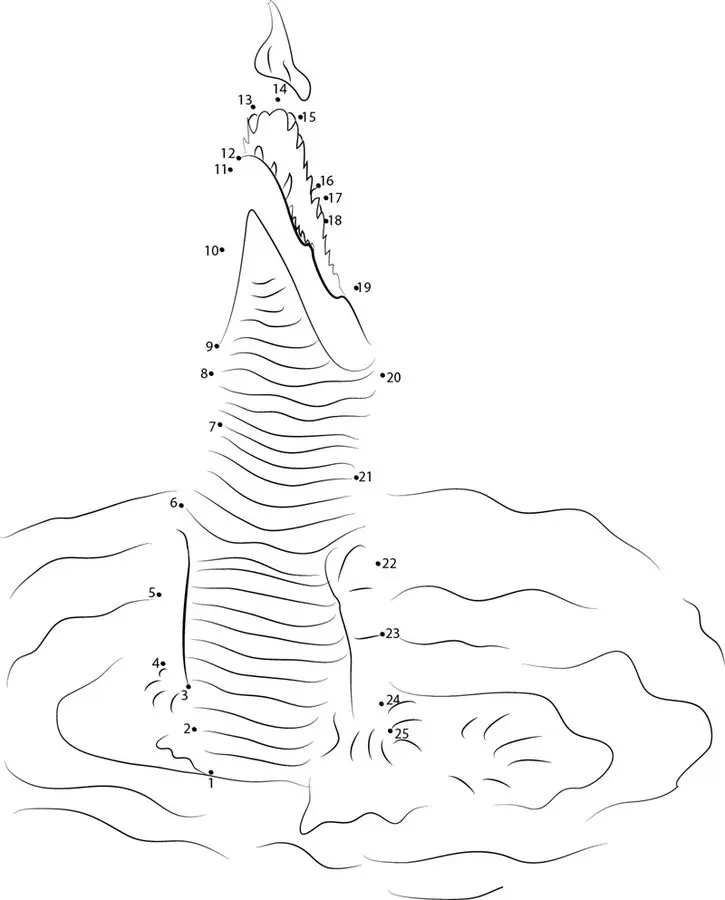 Unir puntos: Cocodrilos 8