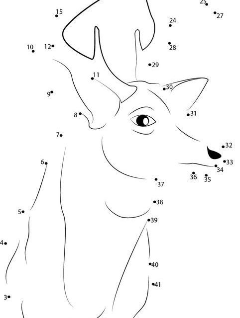 Connect the dots: Deer