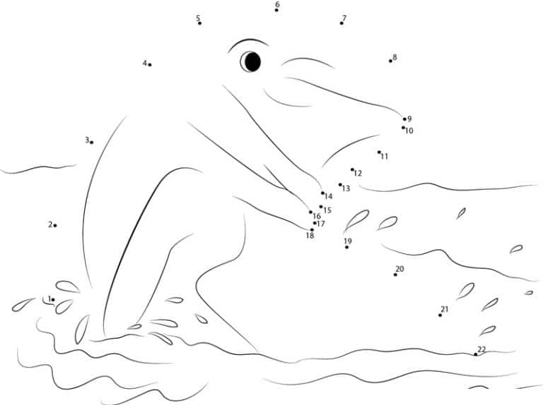 Connect the dots: Dolphin, printable for kids &amp; adults, free