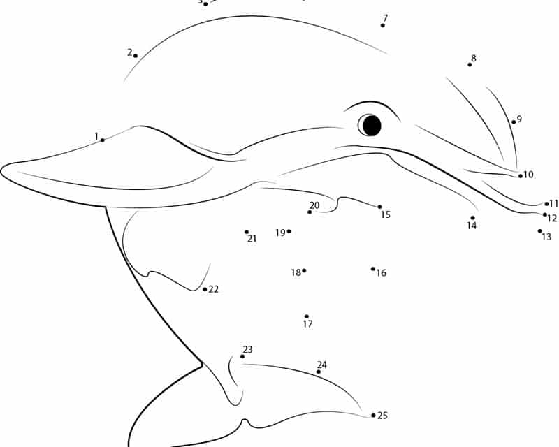 Połącz kropki: Delfin
