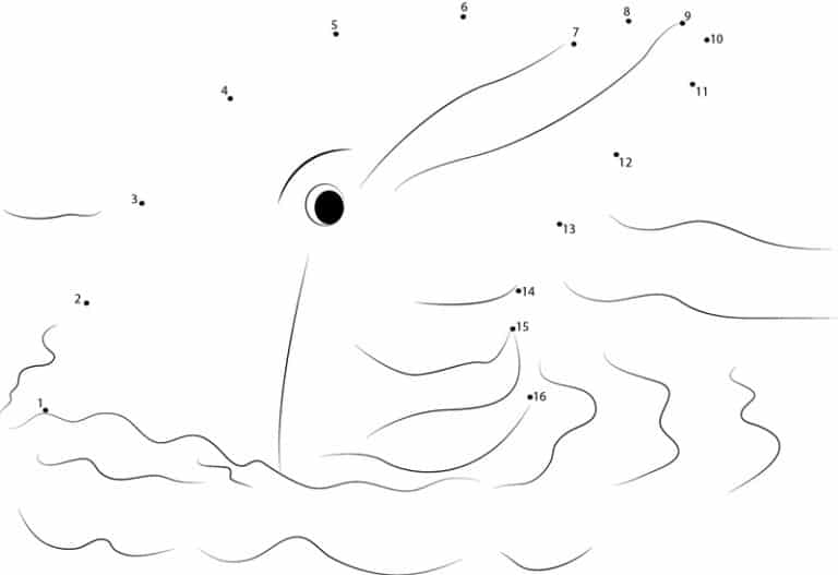 Connect the dots: Dolphin, printable for kids &amp; adults, free