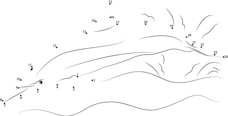 Punkt zu Punkt: Delfine 8