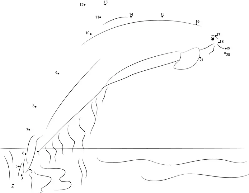 Punkt zu Punkt: Delfine 9