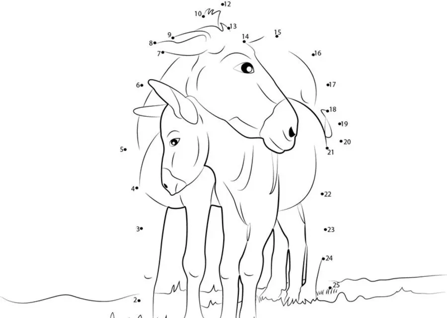 Punkt zu Punkt: Hausesel