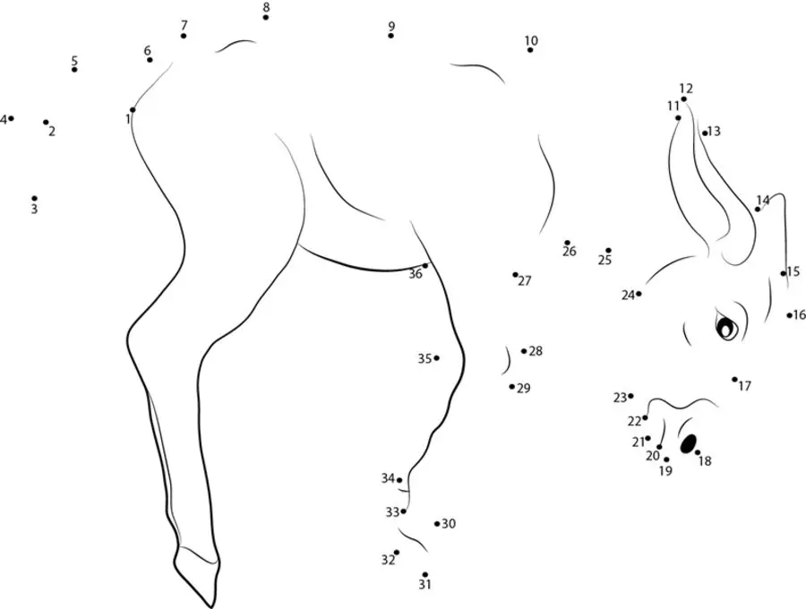 Punkt zu Punkt: Hausesel 9