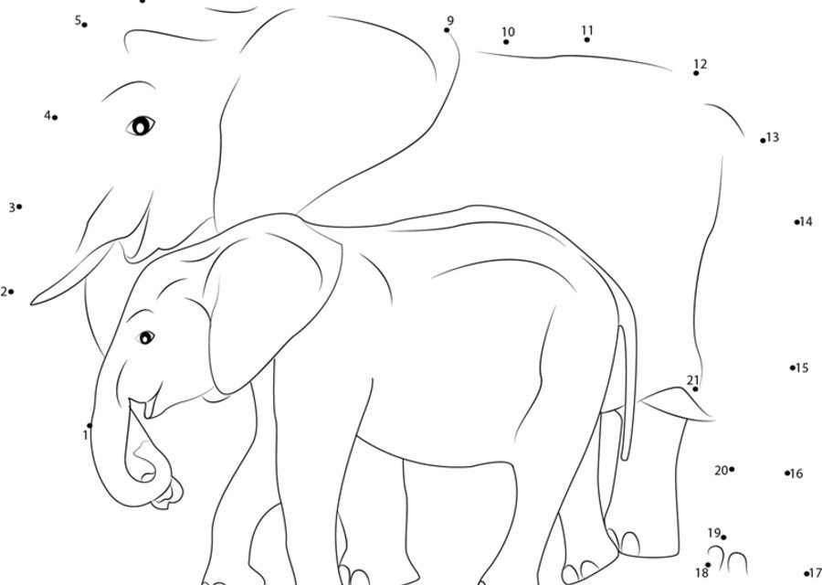 Punkt zu Punkt: Elefant