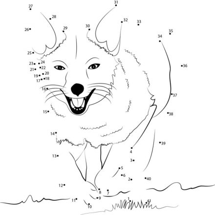 Connect the dots: Fox, printable for kids & adults, free
