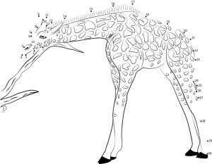 Connect the dots: Giraffe, printable for kids &amp; adults, free